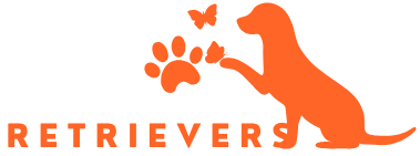 Johnson Family Retriever Puppies